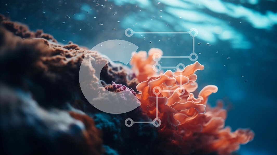 Intra Συλλεκτικό Ξύλινο Παζλ Plywood  4mm - Κοντινό πλάνο του πορτοκαλί κοραλλιού υποβρύχιο Σε Ξύλινο Κουτί - Διαστάσεις: 10x10 cm – 25 κομμάτια