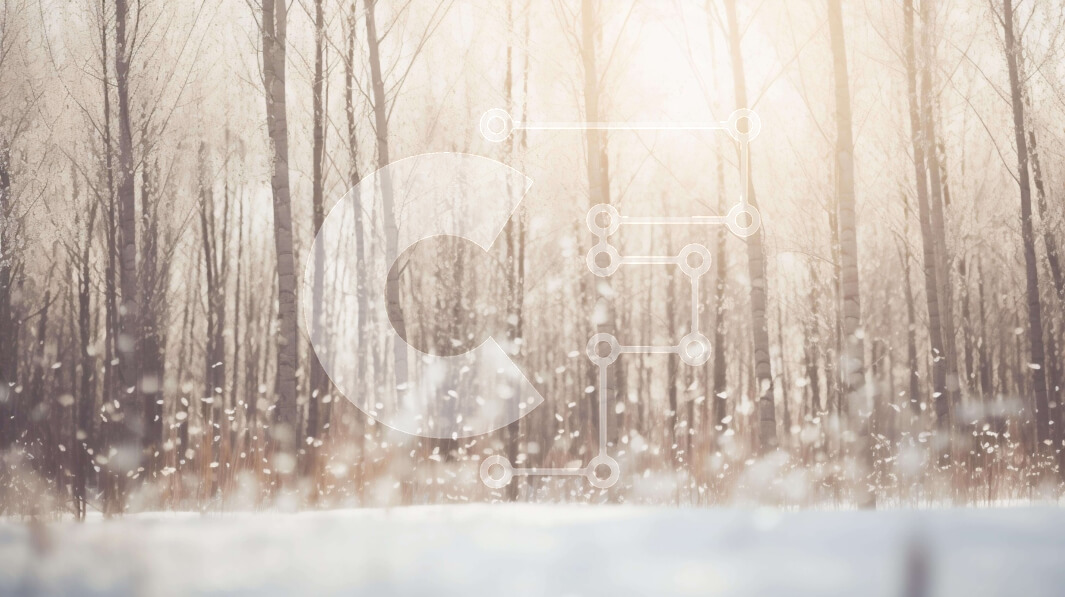 Intra Συλλεκτικό Ξύλινο Παζλ Plywood  4mm - Χιονισμένο δάσος με το φως του ήλιου να ρέει μέσα από δέντρα Σε Ξύλινο Κουτί - Διαστάσεις: 10x10 cm – 25 κομμάτια