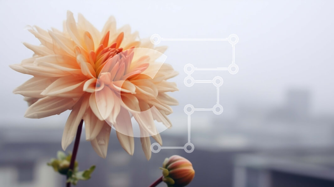 Intra Συλλεκτικό Ξύλινο Παζλ Plywood  4mm - Πορτοκαλί λουλούδι που ανθίζει σε ομιχλώδες φόντο Σε Ξύλινο Κουτί - Διαστάσεις: 10x10 cm – 25 κομμάτια