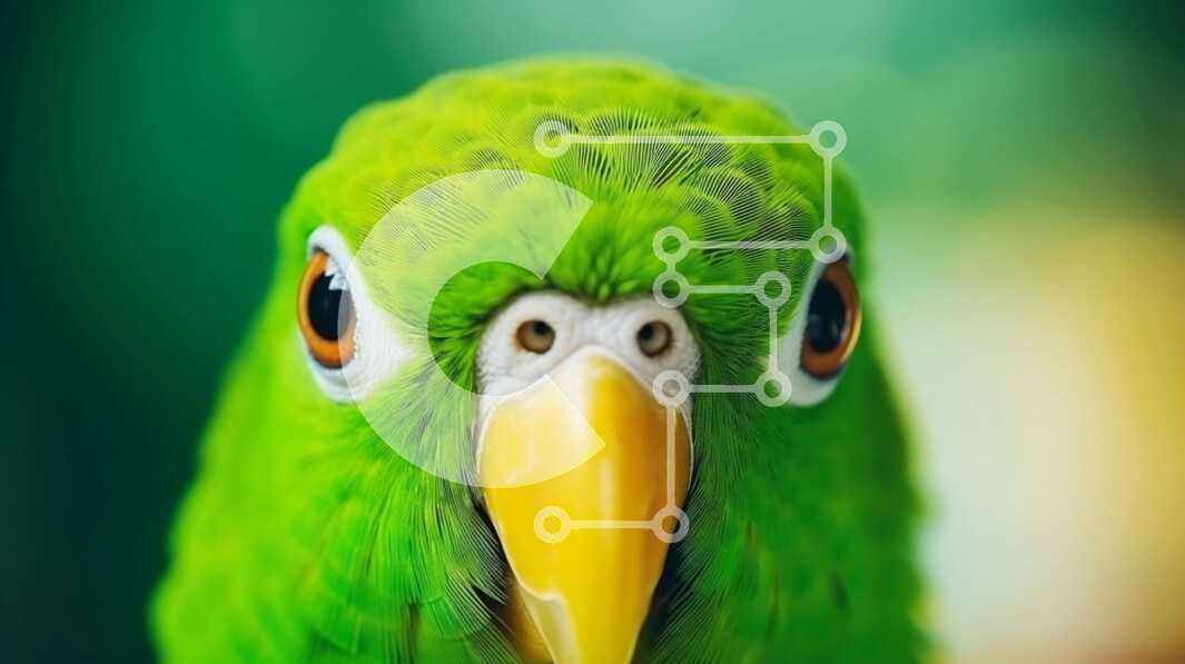 Σετ των 2 Intra Συλλεκτικό Ξύλινο Παζλ Plywood  4mm - Γκρο πλαν Πράσινος Παπαγάλος με Έντονο Βλέμμα Σε Ξύλινο Κουτί - Διαστάσεις: 10x10 cm – 25 κομμάτια