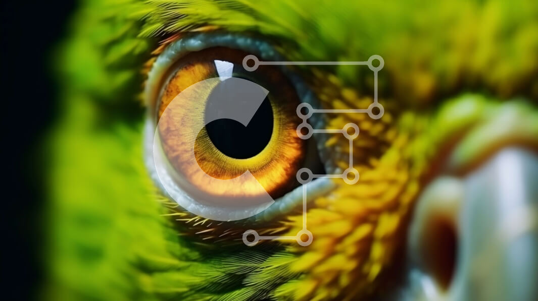 Intra Συλλεκτικό Ξύλινο Παζλ Plywood  4mm - Κοντινό πλάνο ενός πράσινου παπαγάλου με ένα πορτοκαλί μάτι Σε Ξύλινο Κουτί - Διαστάσεις: 10x10 cm – 25 κομμάτια