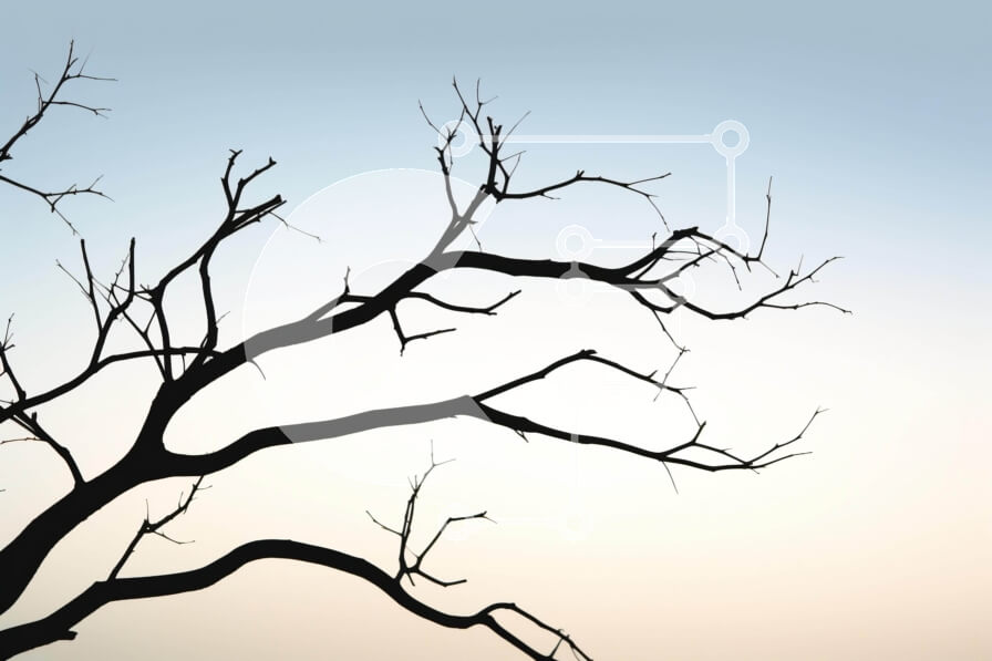 Intra Συλλεκτικό Ξύλινο Παζλ Plywood  4mm - Σιλουέτα δέντρου ενάντια στον ουρανό τη χειμερινή περίοδο Σε Ξύλινο Κουτί - Διαστάσεις: 10x10 cm – 25 κομμάτια