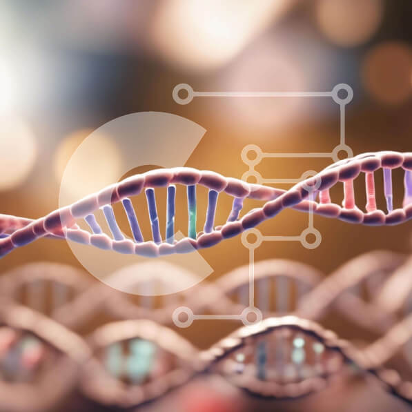 Intra Συλλεκτικό Ξύλινο Παζλ Plywood  4mm - Σκέλη DNA για Γενετική Έρευνα και Εκπαίδευση Σε Ξύλινο Κουτί - Διαστάσεις Puzzle: 10x10 cm – 25 κομμάτια