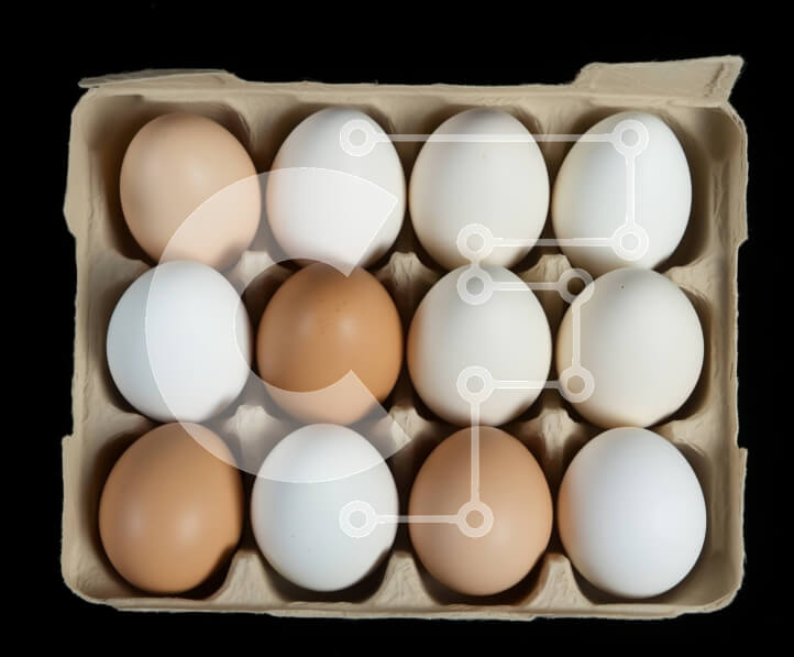 Σετ των 2 Intra Συλλεκτικό Ξύλινο Παζλ Plywood  4mm - Αυγά σε χαρτοκιβώτιο Σε Ξύλινο Κουτί - Διαστάσεις: 10x10 cm – 25 κομμάτια