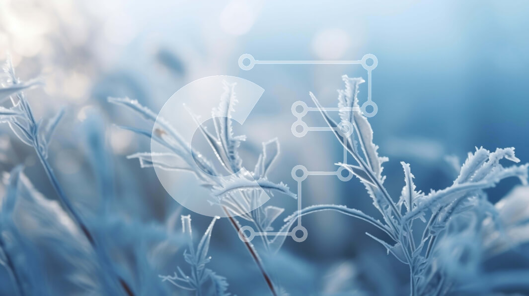 Intra Συλλεκτικό Ξύλινο Παζλ Plywood  4mm - Κοντινό πλάνο παγωμένων χόρτων Σε Ξύλινο Κουτί - Διαστάσεις: 10x10 cm – 25 κομμάτια