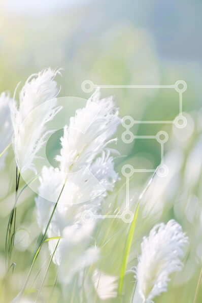 Σετ των 2 Intra Συλλεκτικό Ξύλινο Παζλ Plywood  4mm - Λευκά φτερωτά χόρτα σε ένα χορταριασμένο χωράφι Σε Ξύλινο Κουτί - Διαστάσεις: 10x10 cm – 25 κομμάτια