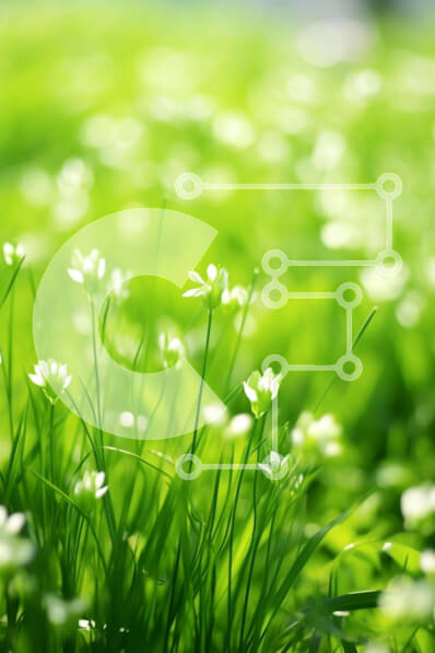 Σετ των 2 Intra Συλλεκτικό Ξύλινο Παζλ Plywood  4mm - Πεδίο πράσινο γρασίδι με λευκά λουλούδια Σε Ξύλινο Κουτί - Διαστάσεις: 10x10 cm – 25 κομμάτια