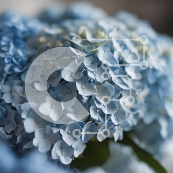 Intra Συλλεκτικό Ξύλινο Παζλ Plywood  4mm - Κοντινή όψη της μπλε ανθοδέσμης σε ένα βάζο Σε Ξύλινο Κουτί - Διαστάσεις: 10x10 cm – 25 κομμάτια