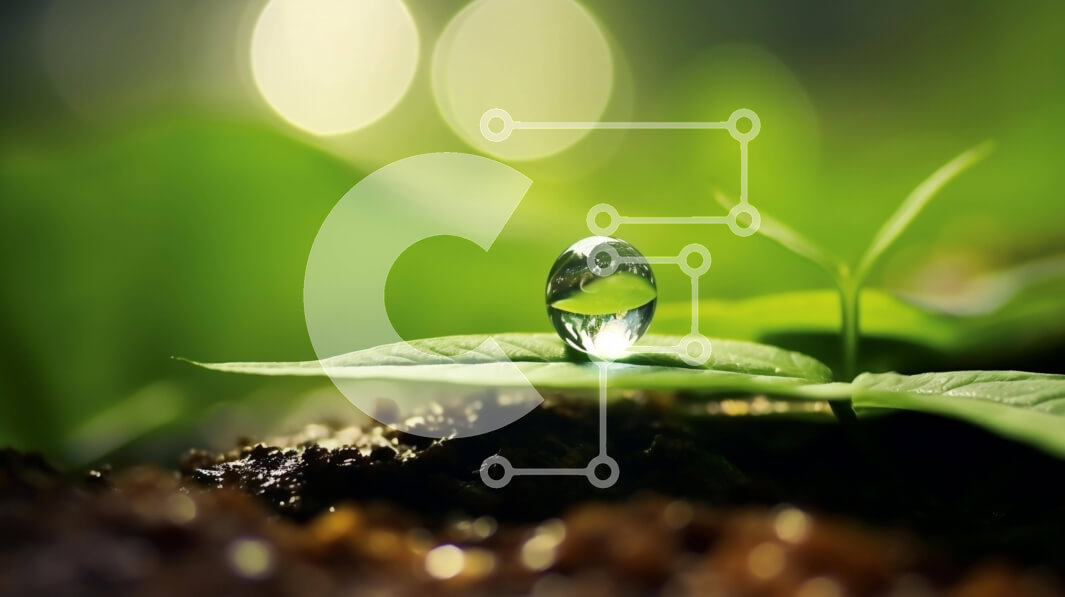 Intra Συλλεκτικό Ξύλινο Παζλ Plywood  4mm - Σταγόνα νερού σε πράσινα φύλλα στη φύση Σε Ξύλινο Κουτί - Διαστάσεις: 10x10 cm – 25 κομμάτια