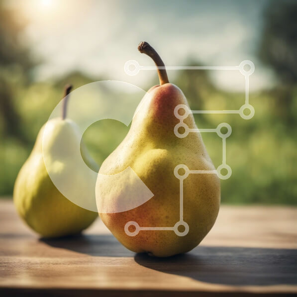 Σετ των 2 Intra Συλλεκτικό Ξύλινο Παζλ Plywood  4mm - Δύο ώριμα αχλάδια σε ένα ξύλινο τραπέζι με πράσινο φόντο Σε Ξύλινο Κουτί - Διαστάσεις: 10x10 cm – 25 κομμάτια