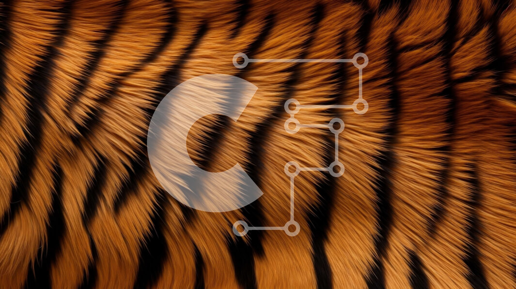 Σετ των 2 Intra Συλλεκτικό Ξύλινο Παζλ Plywood  4mm - Κοντινό πλάνο της γούνας της τίγρης με λεπτομερές σχέδιο και υφή Σε Ξύλινο Κουτί - Διαστάσεις: 10x10 cm – 25 κομμάτια