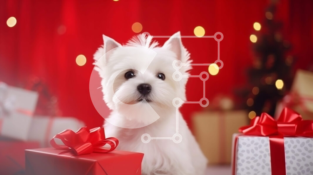 Σετ των 2 Intra Συλλεκτικό Ξύλινο Παζλ Plywood  4mm - Λευκό σκυλί Westie με κόκκινα κουτιά δώρου Σε Ξύλινο Κουτί - Διαστάσεις: 10x10 cm – 25 κομμάτια