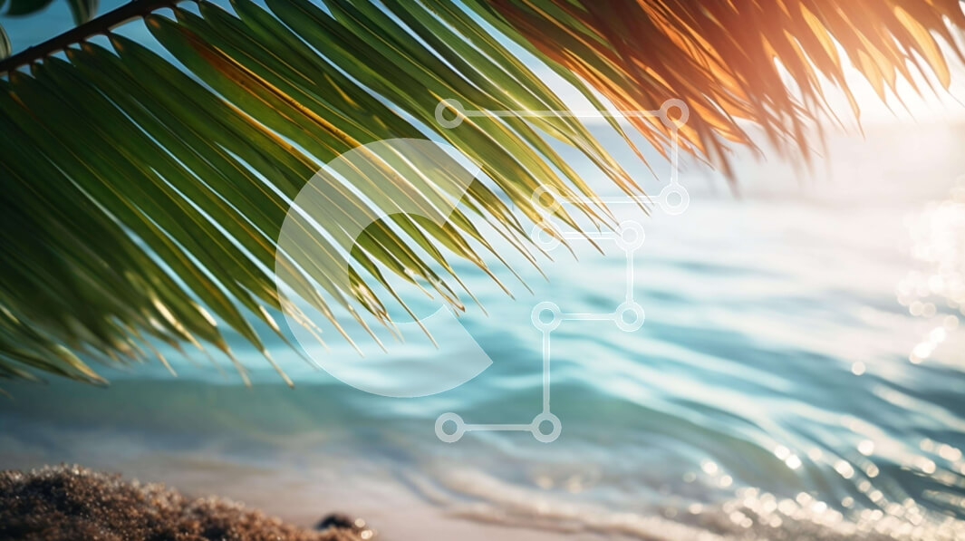 Intra Συλλεκτικό Ξύλινο Παζλ Plywood  4mm - Φοίνικας στην παραλία με καθαρό ουρανό και ωκεανό στο φόντο Σε Ξύλινο Κουτί - Διαστάσεις: 10x10 cm – 25 κομμάτια