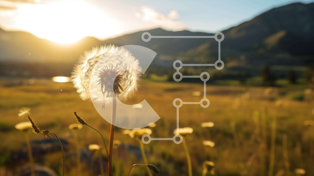 Intra Συλλεκτικό Ξύλινο Παζλ Plywood  4mm - Λουλούδι πικραλίδα σε ένα χωράφι με βουνά Σε Ξύλινο Κουτί - Διαστάσεις: 10x10 cm – 25 κομμάτια