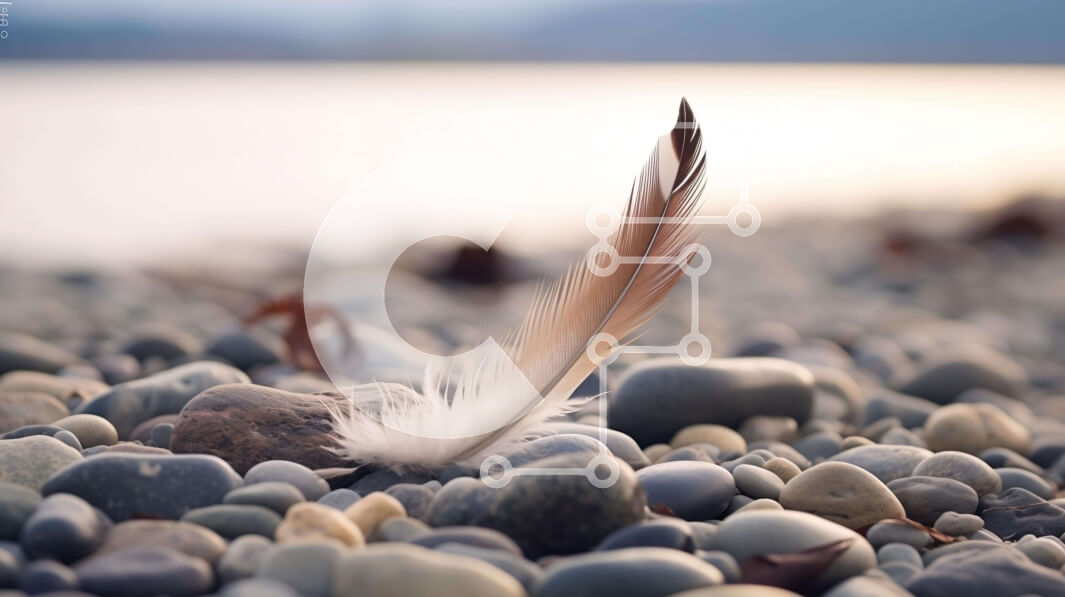 Intra Συλλεκτικό Ξύλινο Παζλ Plywood  4mm - Φτερό σε βράχους και βότσαλα κοντά στο νερό Σε Ξύλινο Κουτί - Διαστάσεις: 10x10 cm – 25 κομμάτια