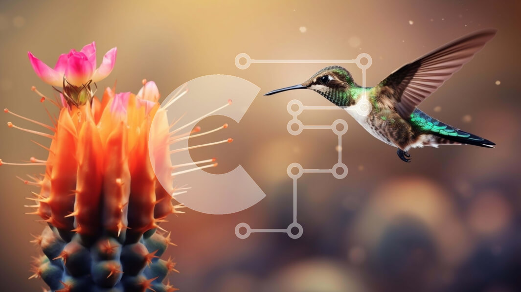 Intra Συλλεκτικό Ξύλινο Παζλ Plywood  4mm - Φυτό Κολίμπρι και Ροζ Κάκτος Σε Ξύλινο Κουτί - Διαστάσεις: 10x10 cm – 25 κομμάτια