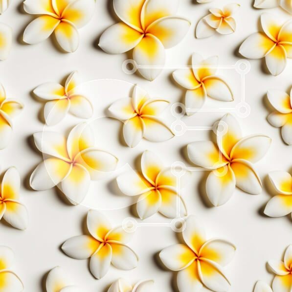 Intra Συλλεκτικό Ξύλινο Παζλ Plywood  4mm - Όμορφη εικόνα από κοντά ενός κίτρινου και λευκού λουλουδιού Plumeria Σε Ξύλινο Κουτί - Διαστάσεις: 10x10 cm – 25 κομμάτια