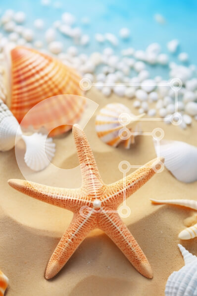 Σετ των 2 Intra Συλλεκτικό Ξύλινο Παζλ Plywood  4mm - Κοχύλια και αστερίες σε μια παραλία Σε Ξύλινο Κουτί - Διαστάσεις: 10x10 cm – 25 κομμάτια