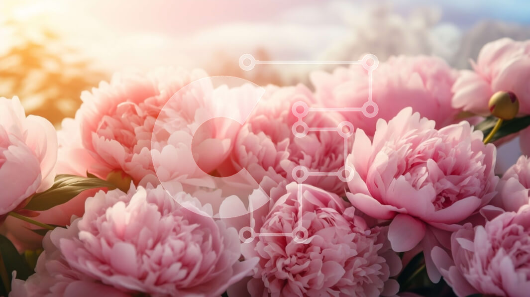 Intra Συλλεκτικό Ξύλινο Παζλ Plywood  4mm - Ανοιξιάτικο μπουκέτο με ροζ παιώνιες και διάφορα λουλούδια Σε Ξύλινο Κουτί - Διαστάσεις: 10x10 cm – 25 κομμάτια