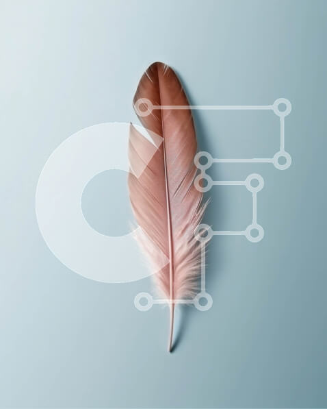 Intra Συλλεκτικό Ξύλινο Παζλ Plywood  4mm - Όμορφη εικόνα ενός ροζ φτερού σε μια γαλάζια επιφάνεια Σε Ξύλινο Κουτί - Διαστάσεις: 10x10 cm – 25 κομμάτια