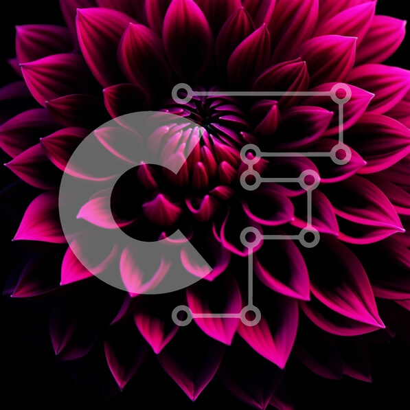 Intra Συλλεκτικό Ξύλινο Παζλ Plywood  4mm - Εκπληκτική κινηματογράφηση σε πρώτο πλάνο ενός λουλουδιού σε σχήμα ροζ αστεριού Σε Ξύλινο Κουτί - Διαστάσεις: 10x10 cm – 25 κομμάτια