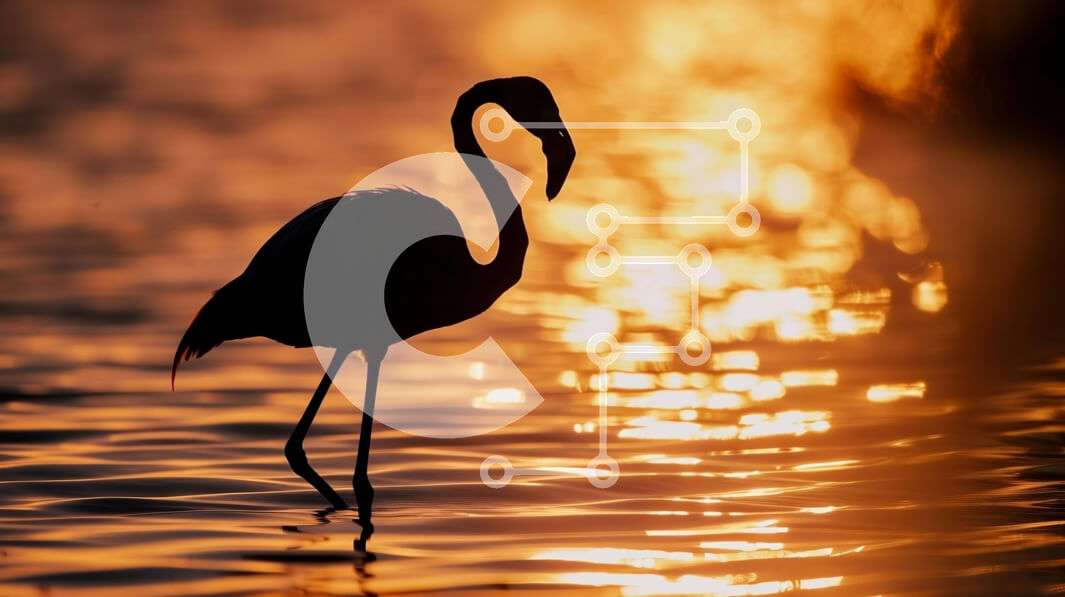 Intra Συλλεκτικό Ξύλινο Παζλ Plywood  4mm - Σιλουέτα ενός φλαμίνγκο στο ηλιοβασίλεμα Σε Ξύλινο Κουτί - Διαστάσεις: 10x10 cm – 25 κομμάτια