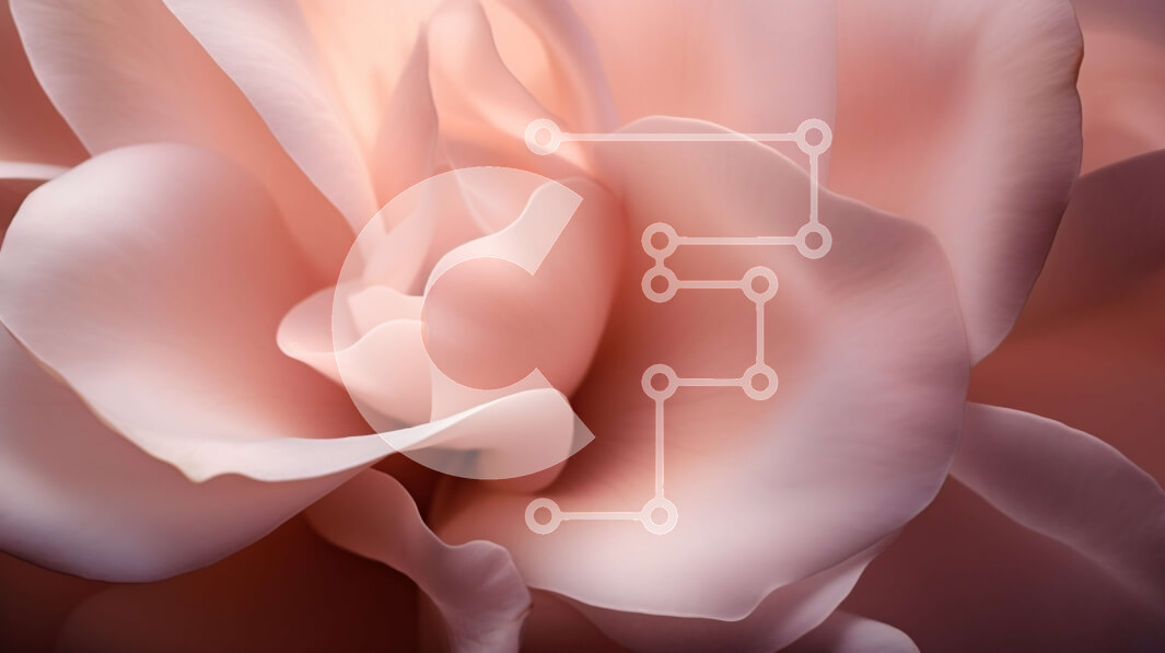 Intra Συλλεκτικό Ξύλινο Παζλ Plywood  4mm - Κοντινό πλάνο ενός ροζ λουλουδιού με πολλά πέταλα Σε Ξύλινο Κουτί - Διαστάσεις: 10x10 cm – 25 κομμάτια