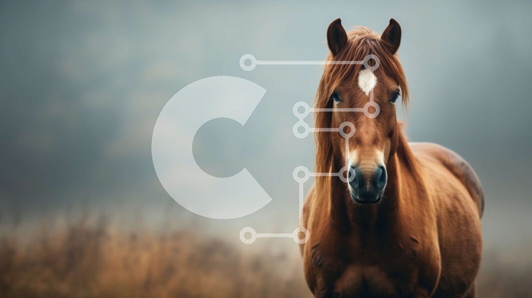 Intra Συλλεκτικό Ξύλινο Παζλ Plywood  4mm - Καφέ άλογο που στέκεται στο χορτάρι Σε Ξύλινο Κουτί - Διαστάσεις: 10x10 cm – 25 κομμάτια