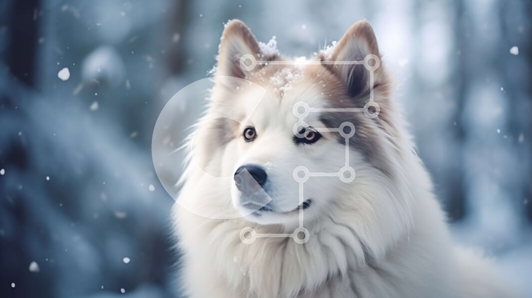 Intra Συλλεκτικό Ξύλινο Παζλ Plywood  4mm - Λευκό σκυλί χάσκι στο χιονισμένο δάσος Σε Ξύλινο Κουτί - Διαστάσεις: 10x10 cm – 25 κομμάτια