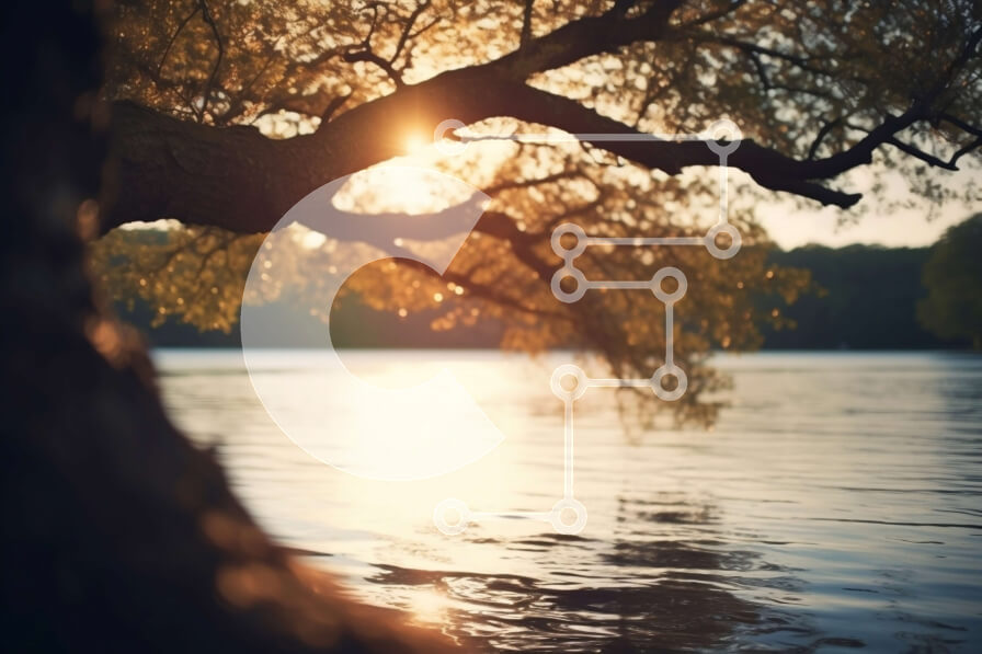 Intra Συλλεκτικό Ξύλινο Παζλ Plywood  4mm - Όμορφο ηλιοβασίλεμα σε μια λίμνη με ένα δέντρο στην ακτή Σε Ξύλινο Κουτί - Διαστάσεις: 10x10 cm – 25 κομμάτια