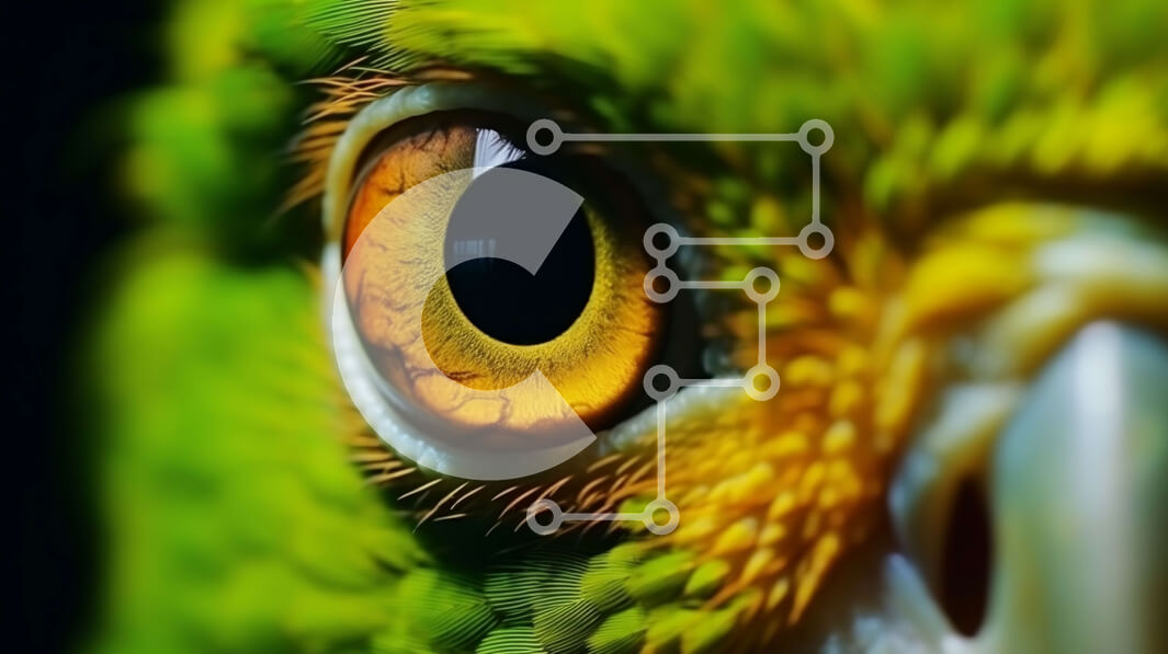 Intra Συλλεκτικό Ξύλινο Παζλ Plywood  4mm - Κοντινό πλάνο ενός πράσινου παπαγάλου με πορτοκαλί μάτι Σε Ξύλινο Κουτί - Διαστάσεις: 10x10 cm – 25 κομμάτια