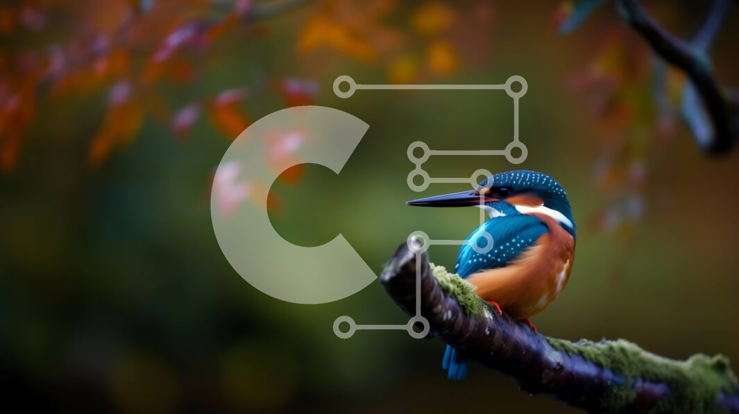 Intra Συλλεκτικό Ξύλινο Παζλ Plywood  4mm - Όμορφη εικόνα ενός πολύχρωμου πουλιού σε ένα δάσος Σε Ξύλινο Κουτί - Διαστάσεις: 10x10 cm – 25 κομμάτια