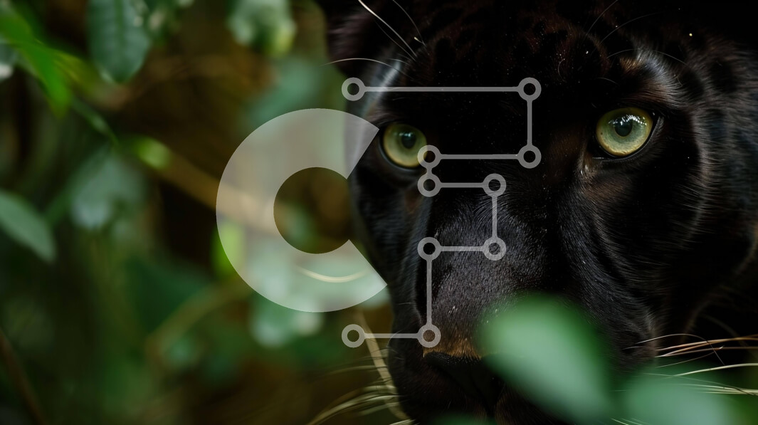 Σετ των 2 Intra Συλλεκτικό Ξύλινο Παζλ Plywood  4mm - Μαύρο Jaguar με πράσινα μάτια στο δάσος Σε Ξύλινο Κουτί - Διαστάσεις: 10x10 cm – 25 κομμάτια