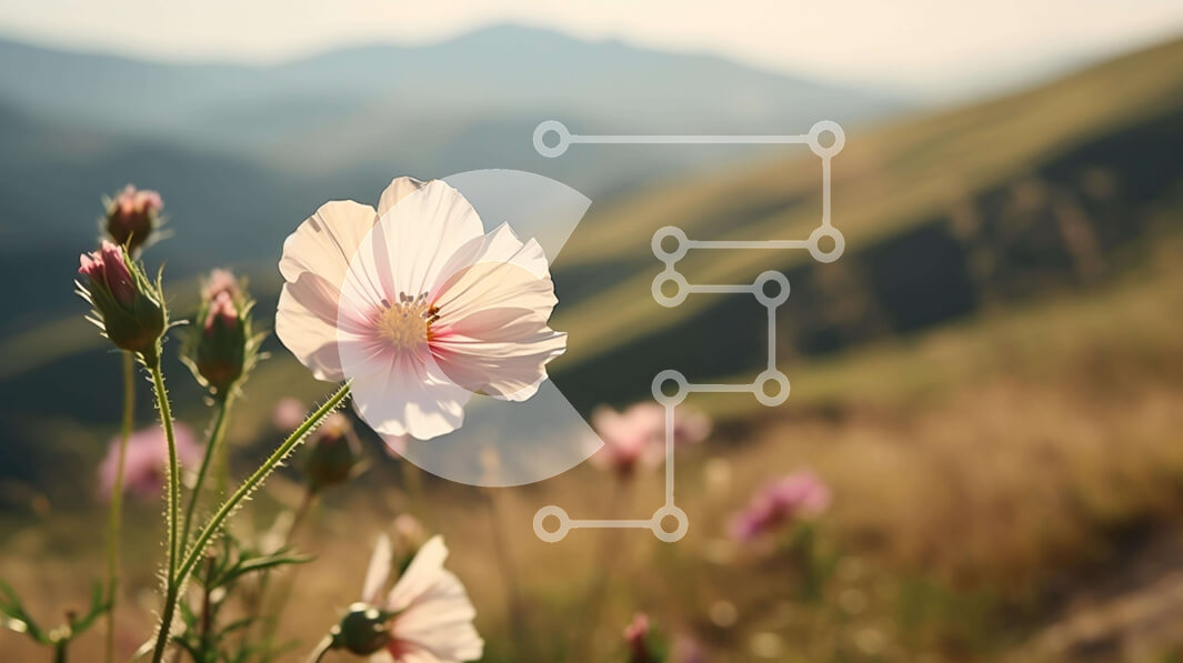 Intra Συλλεκτικό Ξύλινο Παζλ Plywood  4mm - Ροζ λουλούδι στο ορεινό τοπίο Σε Ξύλινο Κουτί - Διαστάσεις: 10x10 cm – 25 κομμάτια