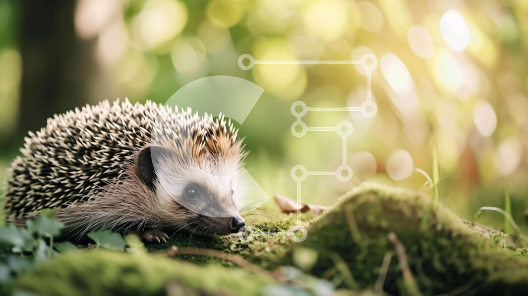 Σετ των 2 Intra Συλλεκτικό Ξύλινο Παζλ Plywood  4mm - Χαριτωμένος σκαντζόχοιρος που κάθεται στο ποώδη γρασίδι στο δάσος Σε Ξύλινο Κουτί - Διαστάσεις: 10x10 cm – 25 κομμάτια