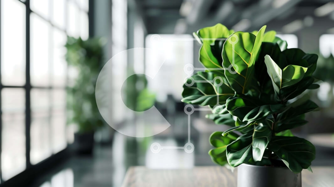 Intra Συλλεκτικό Ξύλινο Παζλ Plywood  4mm - Φυτό εσωτερικού χώρου σε γλάστρα με πράσινα φύλλα μπροστά από μεγάλα παράθυρα Σε Ξύλινο Κουτί - Διαστάσεις Puzzle: 10x10 cm – 25 κομμάτια