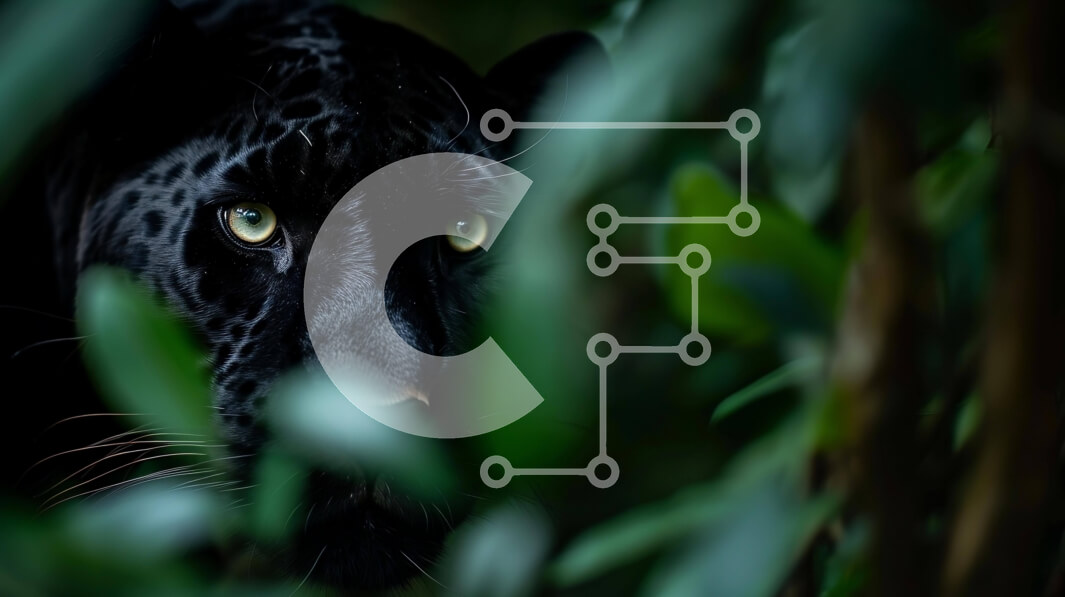 Σετ των 2 Intra Συλλεκτικό Ξύλινο Παζλ Plywood  4mm - Μαύρο Jaguar που κρυφοκοιτάζει από πράσινα φύλλα στο δάσος Σε Ξύλινο Κουτί - Διαστάσεις: 10x10 cm – 25 κομμάτια