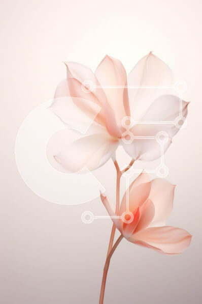 Σετ των 2 Intra Συλλεκτικό Ξύλινο Παζλ Plywood  4mm - Δύο ροζ λουλούδια σε άσπρο φόντο Σε Ξύλινο Κουτί - Διαστάσεις: 10x10 cm – 25 κομμάτια