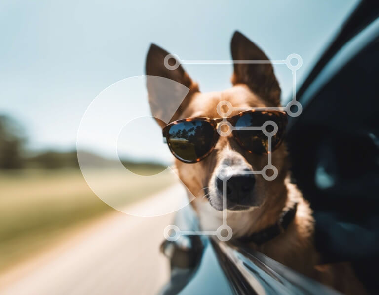 Σετ των 2 Intra Συλλεκτικό Ξύλινο Παζλ Plywood  4mm - Καφέ σκύλος που φοράει γυαλιά ηλίου που κρέμεται έξω από το παράθυρο του αυτοκινήτου Σε Ξύλινο Κουτί - Διαστάσεις: 10x10 cm – 25 κομμάτια