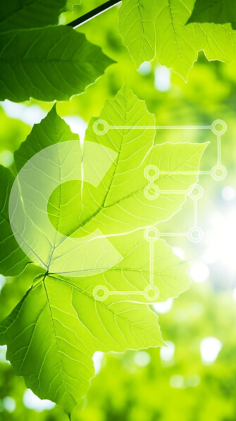 Σετ των 2 Intra Συλλεκτικό Ξύλινο Παζλ Plywood  4mm - Κοντινό πλάνο των πράσινων φύλλων στο δάσος με το φως του ήλιου Σε Ξύλινο Κουτί - Διαστάσεις: 10x10 cm – 25 κομμάτια