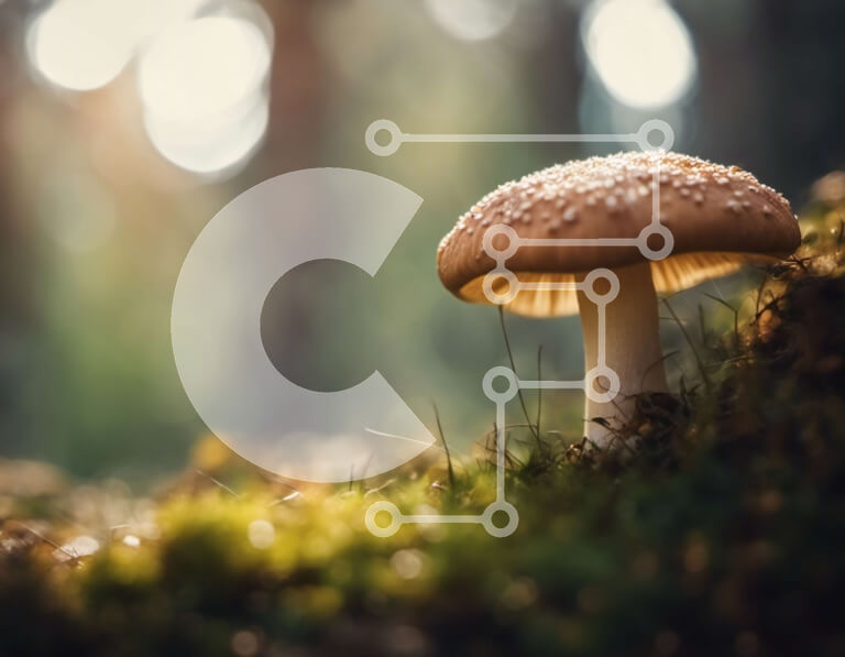 Intra Συλλεκτικό Ξύλινο Παζλ Plywood  4mm - Μεγάλο μανιτάρι σε ποώδη έδαφος στο δάσος Σε Ξύλινο Κουτί - Διαστάσεις: 10x10 cm – 25 κομμάτια