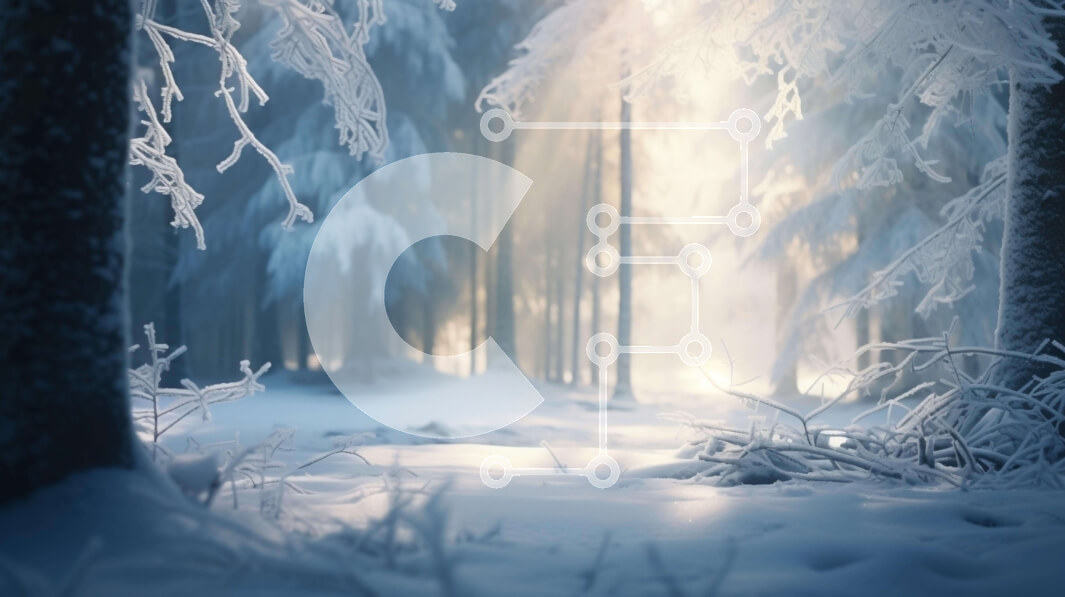 Intra Συλλεκτικό Ξύλινο Παζλ Plywood  4mm - Χιονισμένο δάσος με το φως του ήλιου να ρέει μέσα από δέντρα Σε Ξύλινο Κουτί - Διαστάσεις: 10x10 cm – 25 κομμάτια