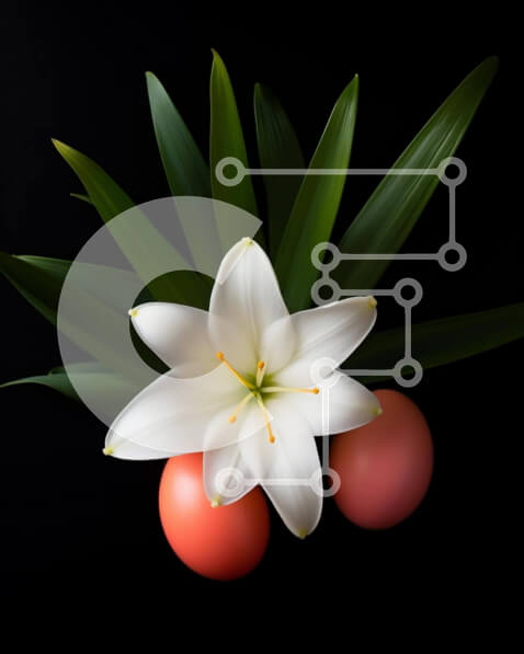 Intra Συλλεκτικό Ξύλινο Παζλ Plywood  4mm - Λουλούδι κρίνων Πάσχας και κόκκινα αυγά σε μαύρο φόντο Σε Ξύλινο Κουτί - Διαστάσεις: 10x10 cm – 25 κομμάτια