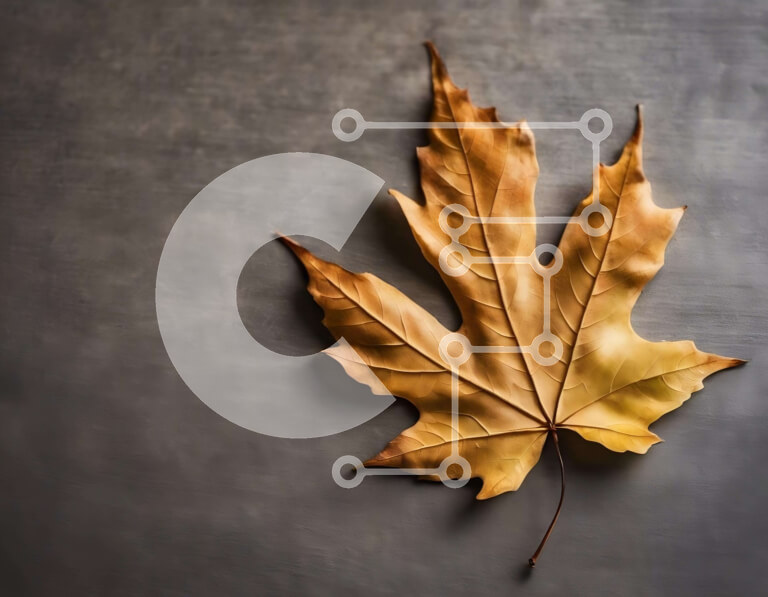 Intra Συλλεκτικό Ξύλινο Παζλ Plywood  4mm - Μονό φύλλο σφενδάμου σε γκρι φόντο Σε Ξύλινο Κουτί - Διαστάσεις: 10x10 cm – 25 κομμάτια