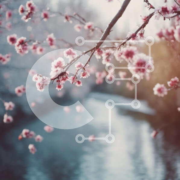 Intra Συλλεκτικό Ξύλινο Παζλ Plywood  4mm - Κλαδί δέντρου ροζ ανθών και ρέον νερό Σε Ξύλινο Κουτί - Διαστάσεις: 10x10 cm – 25 κομμάτια