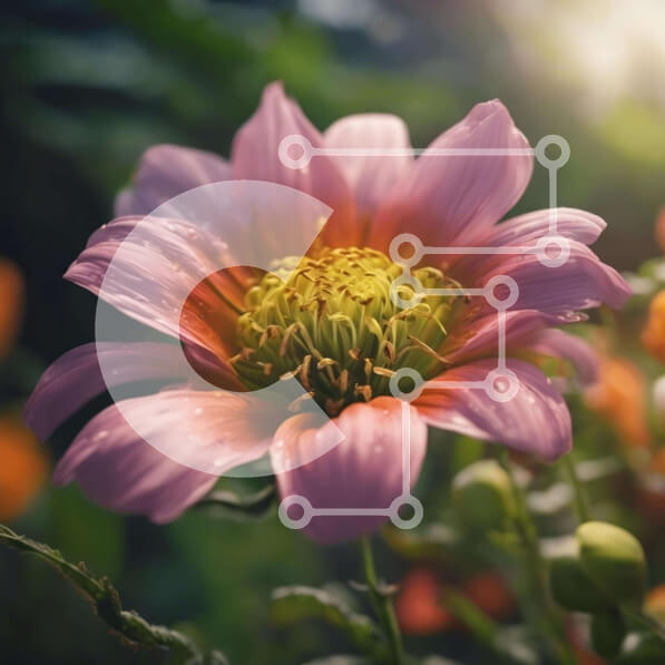 Intra Συλλεκτικό Ξύλινο Παζλ Plywood  4mm - Όμορφο ροζ λουλούδι με πορτοκαλί και κίτρινα λουλούδια Σε Ξύλινο Κουτί - Διαστάσεις: 10x10 cm – 25 κομμάτια