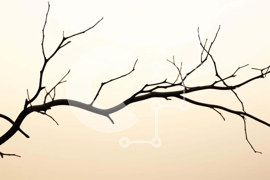 Intra Συλλεκτικό Ξύλινο Παζλ Plywood  4mm - Σκιαγραφημένο κλαδί δέντρου και πουλιά στον ουρανό Σε Ξύλινο Κουτί - Διαστάσεις: 10x10 cm – 25 κομμάτια