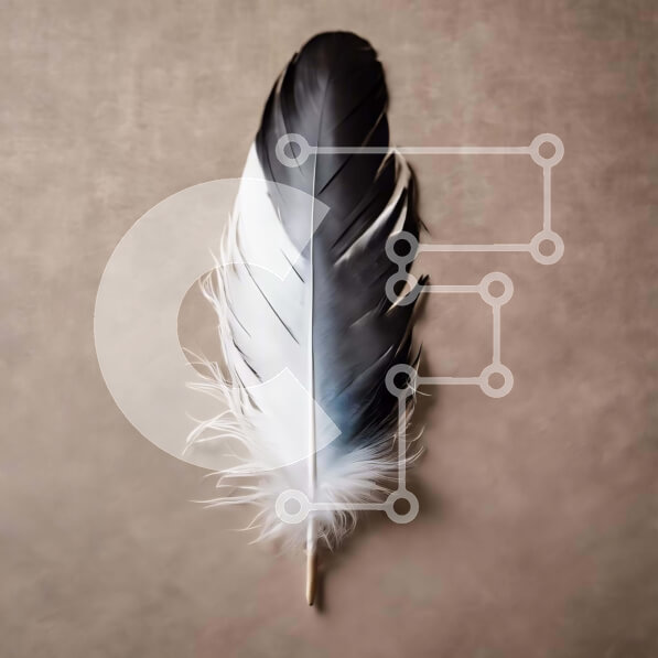 Intra Συλλεκτικό Ξύλινο Παζλ Plywood  4mm - Μαύρο και άσπρο φτερό σε μπεζ φόντο Σε Ξύλινο Κουτί - Διαστάσεις: 10x10 cm – 25 κομμάτια