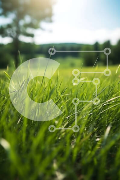 Intra Συλλεκτικό Ξύλινο Παζλ Plywood  4mm - Κοντινό πλάνο με πλούσια πράσινη χλόη σε ένα λιβάδι μια ηλιόλουστη μέρα Σε Ξύλινο Κουτί - Διαστάσεις Puzzle: 10x10 cm – 25 κομμάτια