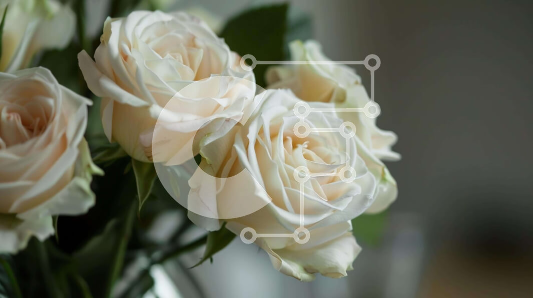 Intra Συλλεκτικό Ξύλινο Παζλ Plywood  4mm - Κομψά λευκά τριαντάφυλλα σε γυάλινο βάζο Σε Ξύλινο Κουτί - Διαστάσεις: 10x10 cm – 25 κομμάτια